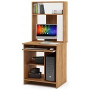 дуб золотистый