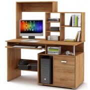 дуб золотистый