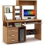 дуб золотистый