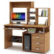 дуб золотистый