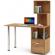 дуб золотистый