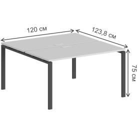 Компьютерный стол SG.241