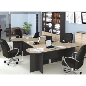 Письменный стол Успех-2 ПМ-184.04