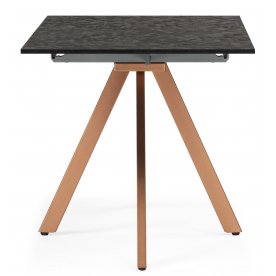 Деревянный стол Райн