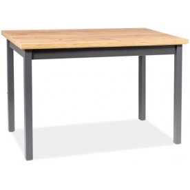 Деревянный стол Adam 100