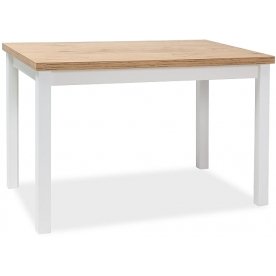 Деревянный стол Adam 100