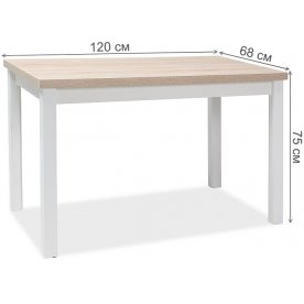 Деревянный стол Adam 120