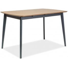 Деревянный стол Vitro II 120