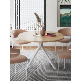 Деревянный стол DO1100