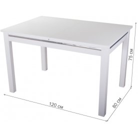 Стеклянный стол Вальс-1 08