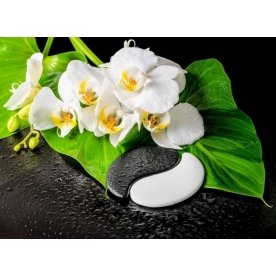 Стеклянный стол Лотос 1000 х 600