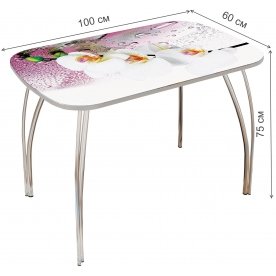 Стеклянный стол Лотос 1000 х 600