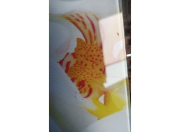 Стеклянный стол Танго