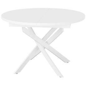 Стеклянный стол DikLine RDBS110Х