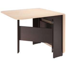 Стол-книжка Мечта 2