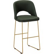 тёмно-зеленый / линк золото