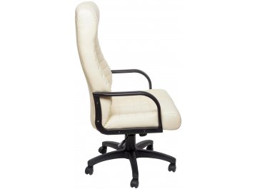 Компьютерное кресло Рафаэль 1