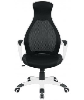 Компьютерное кресло Premium Genesis EX-517