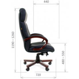 Компьютерное кресло Chairman 421