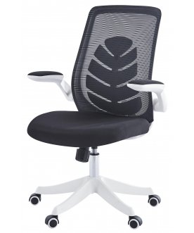 Компьютерное кресло Chairman CH565