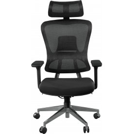 Компьютерное кресло Expert Ergo Fly