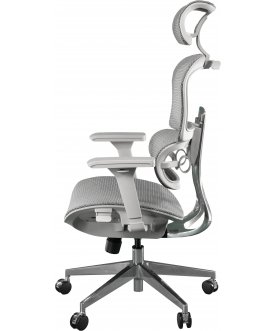 Компьютерное кресло Expert Ergo Sail