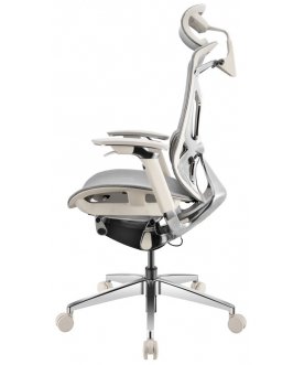 Компьютерное кресло Gt Chair Dvary X Pro