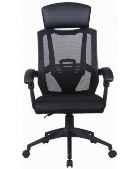 Компьютерное кресло Nexus ER-401