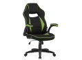 Компьютерное кресло Plast 1 green / black