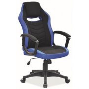 черный / синий