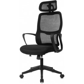 Компьютерное кресло Wise