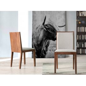 Деревянный стул CPMK029/4045