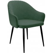 зеленый / черный