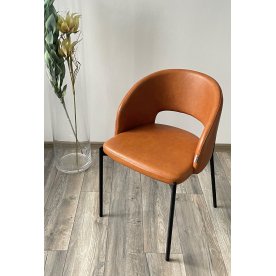 Стул на металлокаркасе Agnes PUA-19