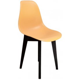 Пластиковый стул Сашш