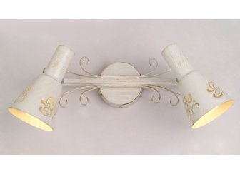 Спот Дункан CL529522