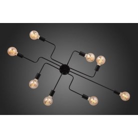 Потолочная люстра Ano SL419.442.08