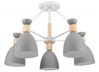 Потолочная люстра Delia FR5033CL-05W