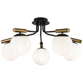 Потолочная люстра Paolina FR5011CL-05B