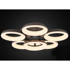 Потолочная люстра Паркер CL225165R