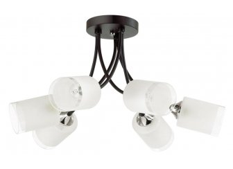Потолочная люстра 4533/6C