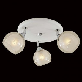 Спот Самба CL158131