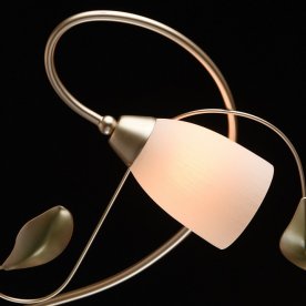 Потолочная люстра Верона 334013006