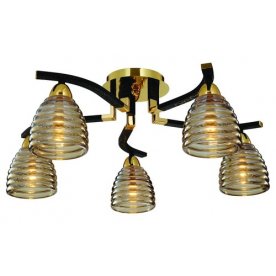 Потолочная люстра ST Luce SL325.202.05