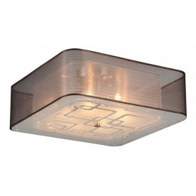 Потолочный светильник SL940.802.06