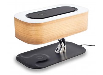 Настольная лампа Ньютон CL803042