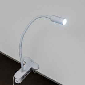 Настольная лампа Ньютон CL803060N