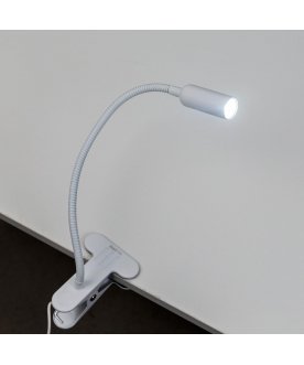 Настольная лампа Ньютон CL803060N