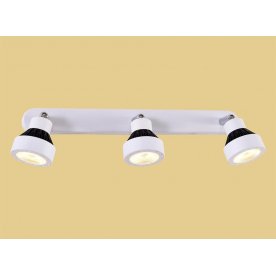 Спот Данди CL557531