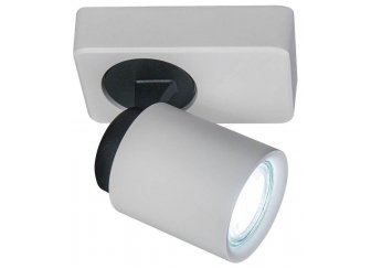 Спот Норман CL533510